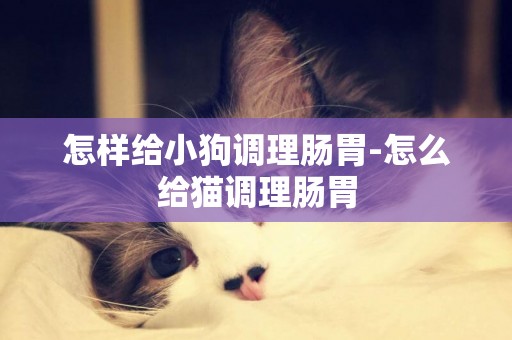 怎樣給小狗調理腸胃-怎么給貓調理腸胃