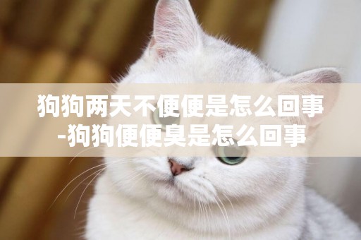 狗狗兩天不便便是怎么回事-狗狗便便臭是怎么回事
