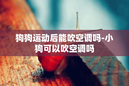 狗狗運動后能吹空調嗎-小狗可以吹空調嗎