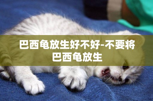 巴西龜放生好不好-不要將巴西龜放生
