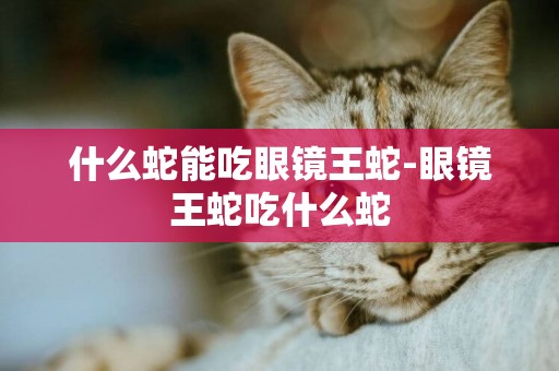 什么蛇能吃眼鏡王蛇-眼鏡王蛇吃什么蛇