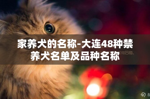 家養犬的名稱-大連48種禁養犬名單及品種名稱