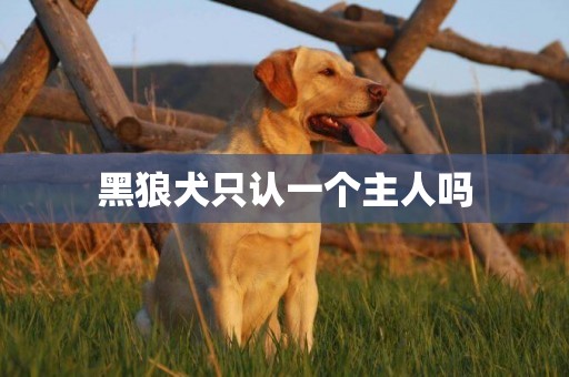黑狼犬只認一個主人嗎
