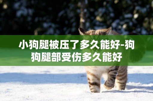 小狗腿被壓了多久能好-狗狗腿部受傷多久能好