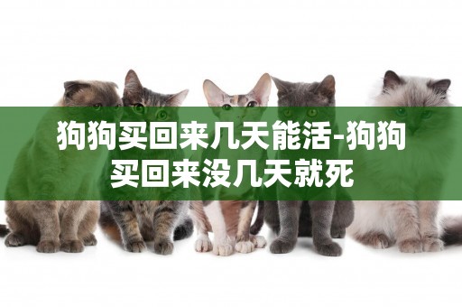 狗狗買回來幾天能活-狗狗買回來沒幾天就死