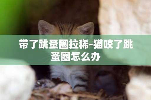 帶了跳蚤圈拉稀-貓咬了跳蚤圈怎么辦