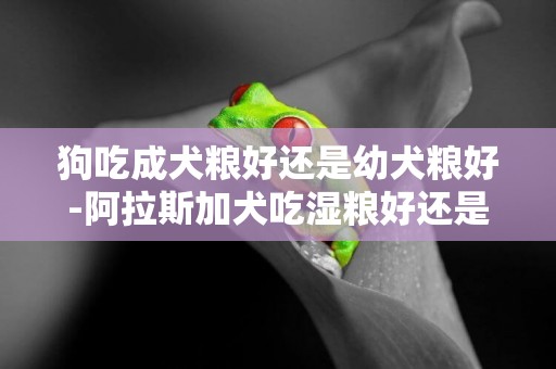 狗吃成犬糧好還是幼犬糧好-阿拉斯加犬吃濕糧好還是干糧好