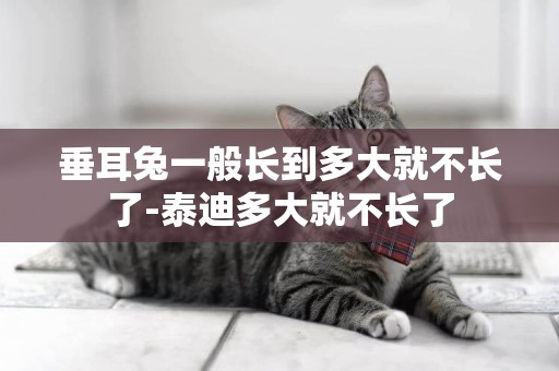 垂耳兔一般長到多大就不長了-泰迪多大就不長了