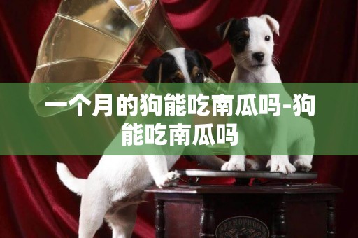 一個月的狗能吃南瓜嗎-狗能吃南瓜嗎