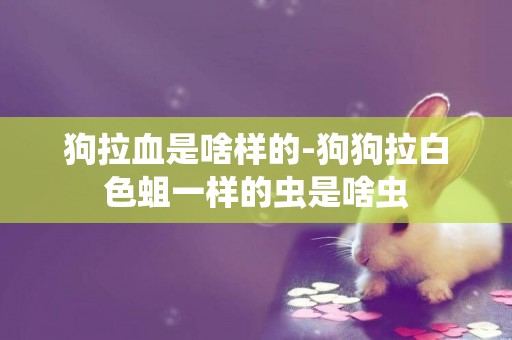 狗拉血是啥樣的-狗狗拉白色蛆一樣的蟲是啥蟲