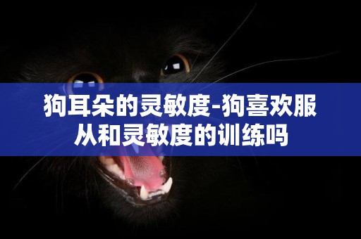狗耳朵的靈敏度-狗喜歡服從和靈敏度的訓練嗎