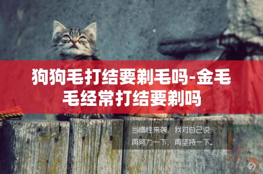 狗狗毛打結要剃毛嗎-金毛毛經常打結要剃嗎