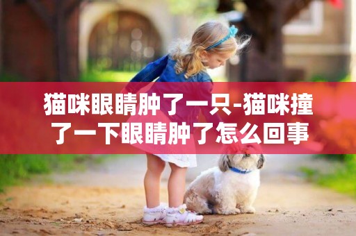貓咪眼睛腫了一只-貓咪撞了一下眼睛腫了怎么回事