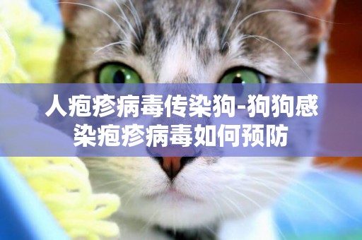 人皰疹病毒傳染狗-狗狗感染皰疹病毒如何預防