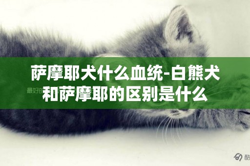 薩摩耶犬什么血統-白熊犬和薩摩耶的區別是什么
