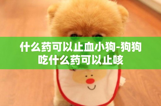 什么藥可以止血小狗-狗狗吃什么藥可以止咳