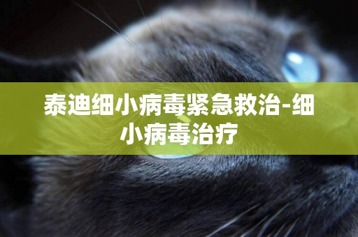 泰迪細小病毒緊急救治-細小病毒治療