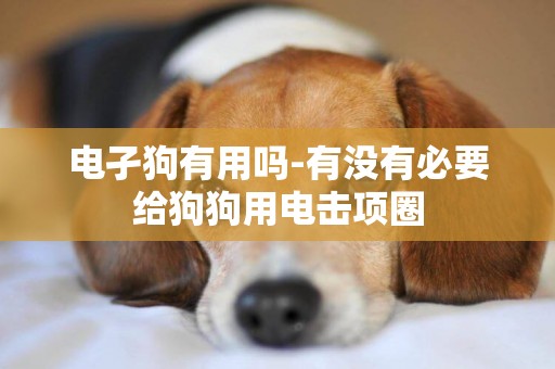 電孑狗有用嗎-有沒有必要給狗狗用電擊項圈
