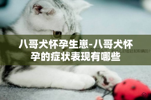 八哥犬懷孕生崽-八哥犬懷孕的癥狀表現有哪些