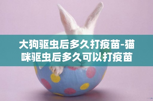 大狗驅蟲后多久打疫苗-貓咪驅蟲后多久可以打疫苗