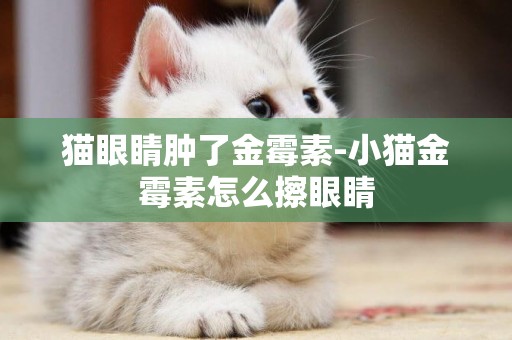 貓眼睛腫了金霉素-小貓金霉素怎么擦眼睛
