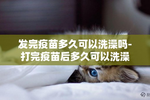 發完疫苗多久可以洗澡嗎-打完疫苗后多久可以洗澡