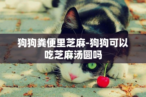 狗狗糞便里芝麻-狗狗可以吃芝麻湯圓嗎
