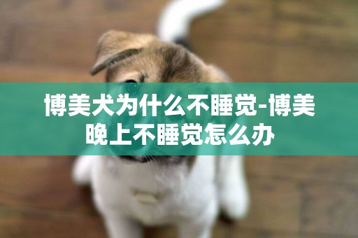 博美犬為什么不睡覺-博美晚上不睡覺怎么辦