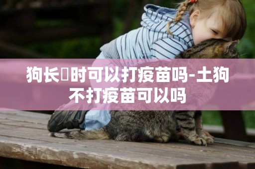 狗長廯時可以打疫苗嗎-土狗不打疫苗可以嗎
