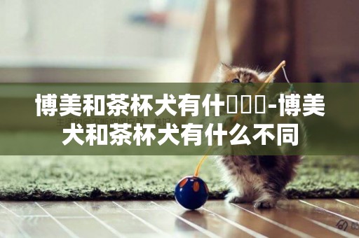 博美和茶杯犬有什麼區別-博美犬和茶杯犬有什么不同