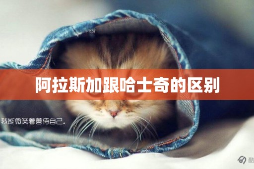 阿拉斯加跟哈士奇的區別