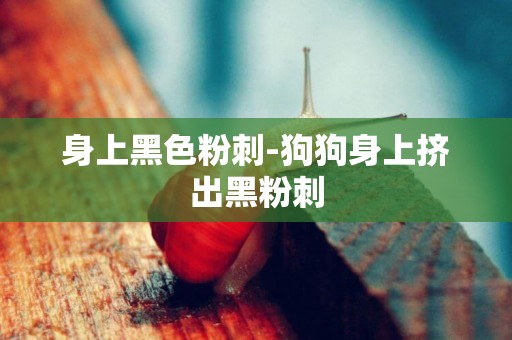 身上黑色粉刺-狗狗身上擠出黑粉刺
