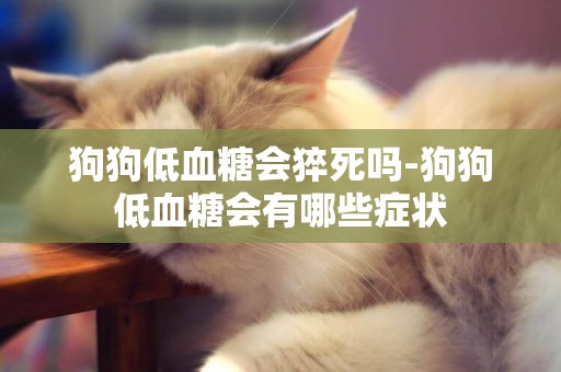 狗狗低血糖會猝死嗎-狗狗低血糖會有哪些癥狀