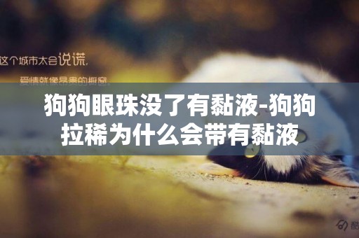 狗狗眼珠沒了有黏液-狗狗拉稀為什么會帶有黏液