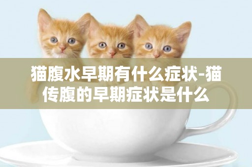 貓腹水早期有什么癥狀-貓傳腹的早期癥狀是什么