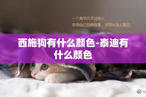 西施狗有什么顏色-泰迪有什么顏色