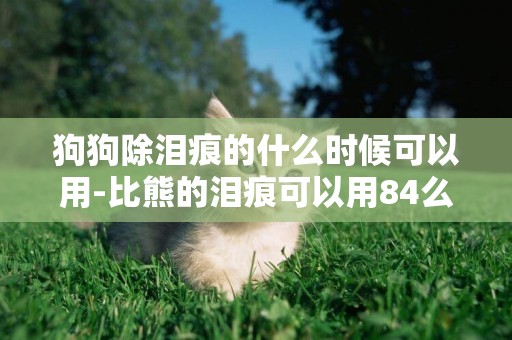 狗狗除淚痕的什么時候可以用-比熊的淚痕可以用84么