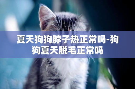 夏天狗狗脖子熱正常嗎-狗狗夏天脫毛正常嗎
