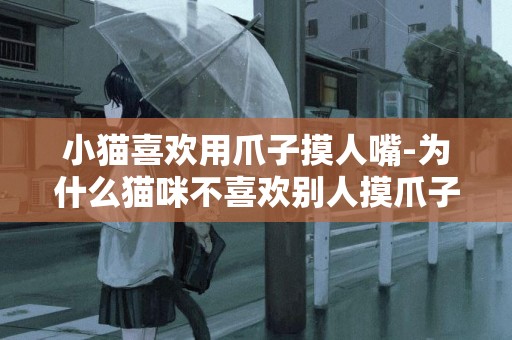 小貓喜歡用爪子摸人嘴-為什么貓咪不喜歡別人摸爪子