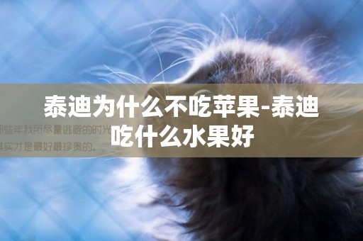 泰迪為什么不吃蘋果-泰迪吃什么水果好