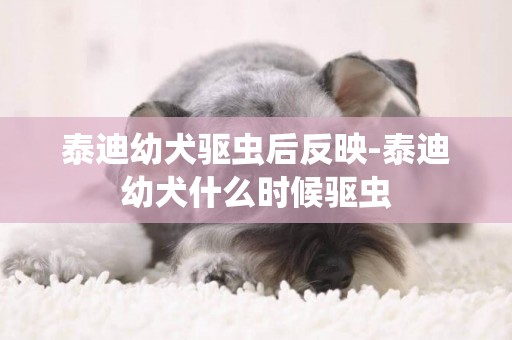 泰迪幼犬驅蟲后反映-泰迪幼犬什么時候驅蟲