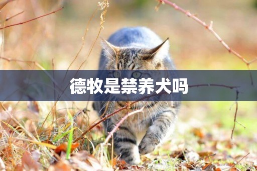 德牧是禁養犬嗎