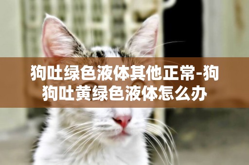 狗吐綠色液體其他正常-狗狗吐黃綠色液體怎么辦