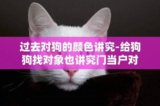 過去對狗的顏色講究-給狗狗找對象也講究門當戶對