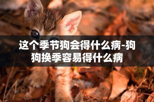 這個季節狗會得什么病-狗狗換季容易得什么病