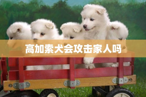 高加索犬會攻擊家人嗎