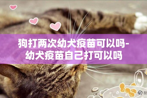 狗打兩次幼犬疫苗可以嗎-幼犬疫苗自己打可以嗎