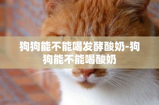 狗狗能不能喝發酵酸奶-狗狗能不能喝酸奶