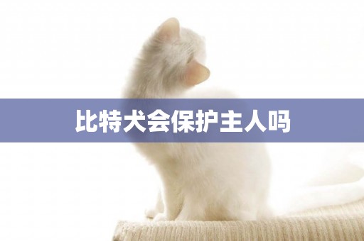 比特犬會保護主人嗎