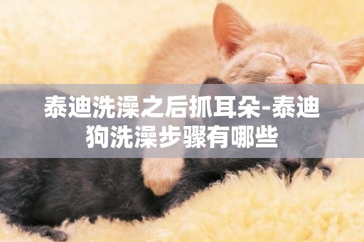 泰迪洗澡之后抓耳朵-泰迪狗洗澡步驟有哪些
